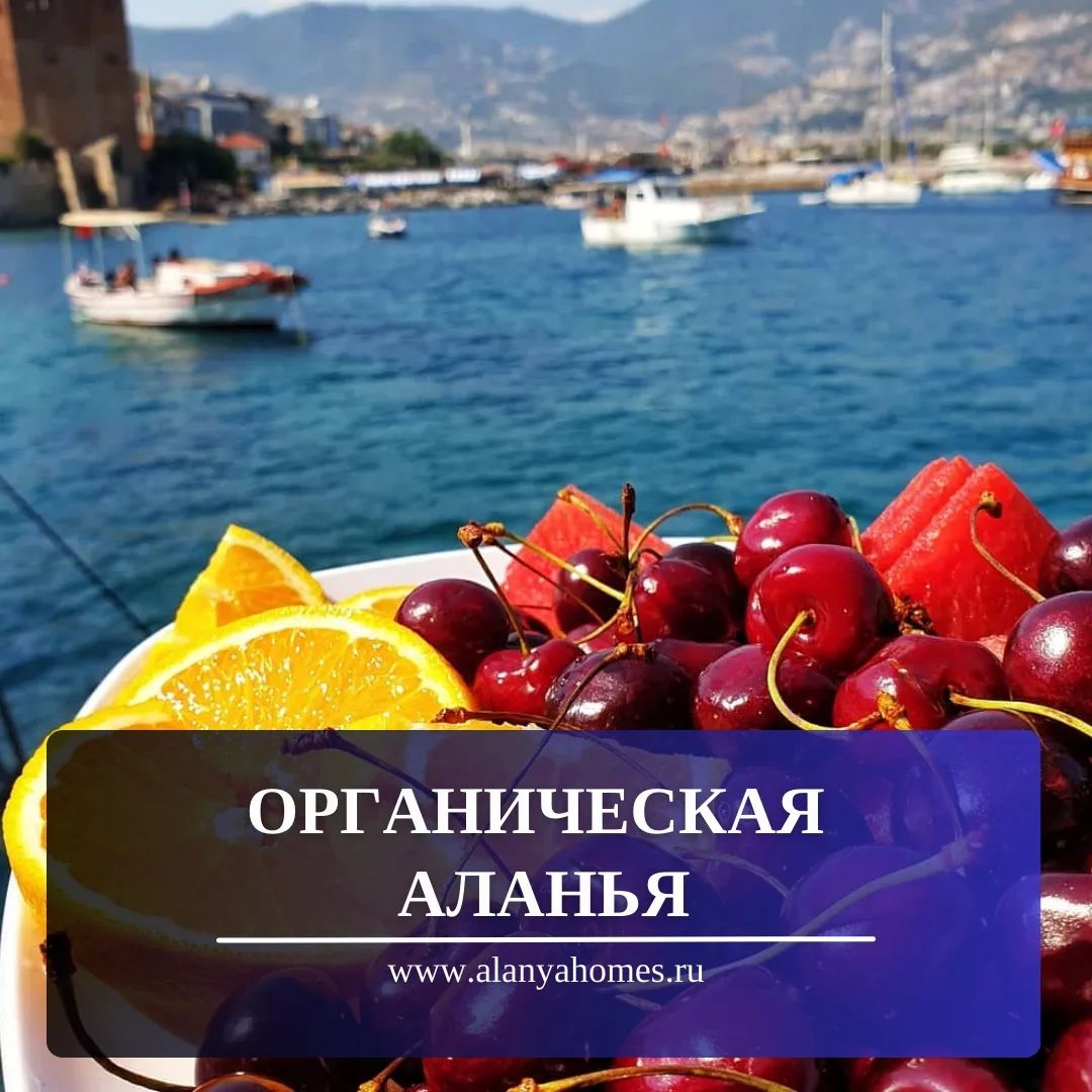 Organik Alanya
