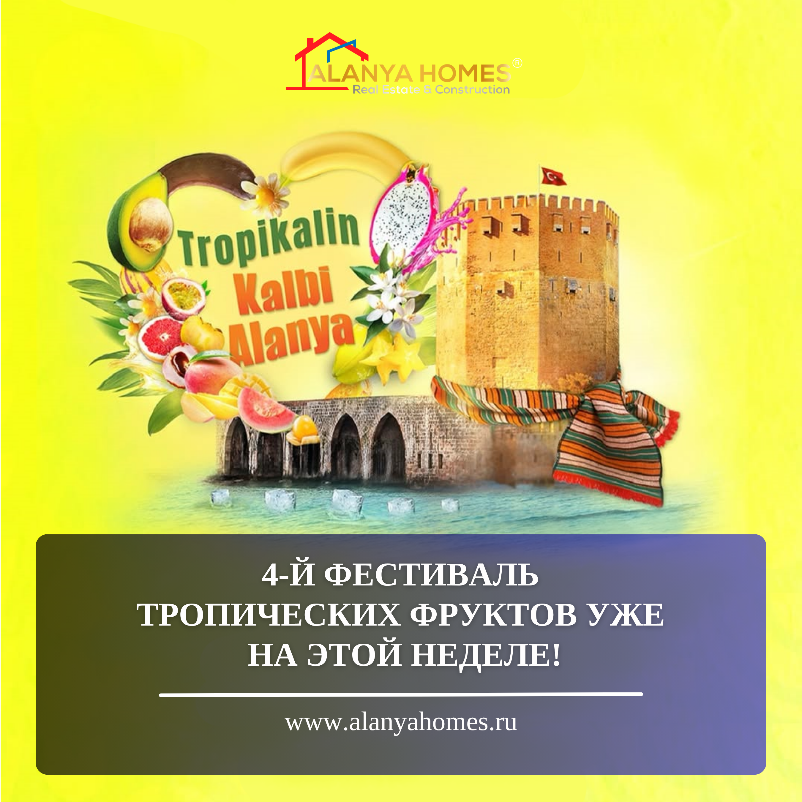 10-12 Ekim tarihlerinde, renkler ve güneşle dolu bir festivalde Eski Belediye Binasının arkasında!