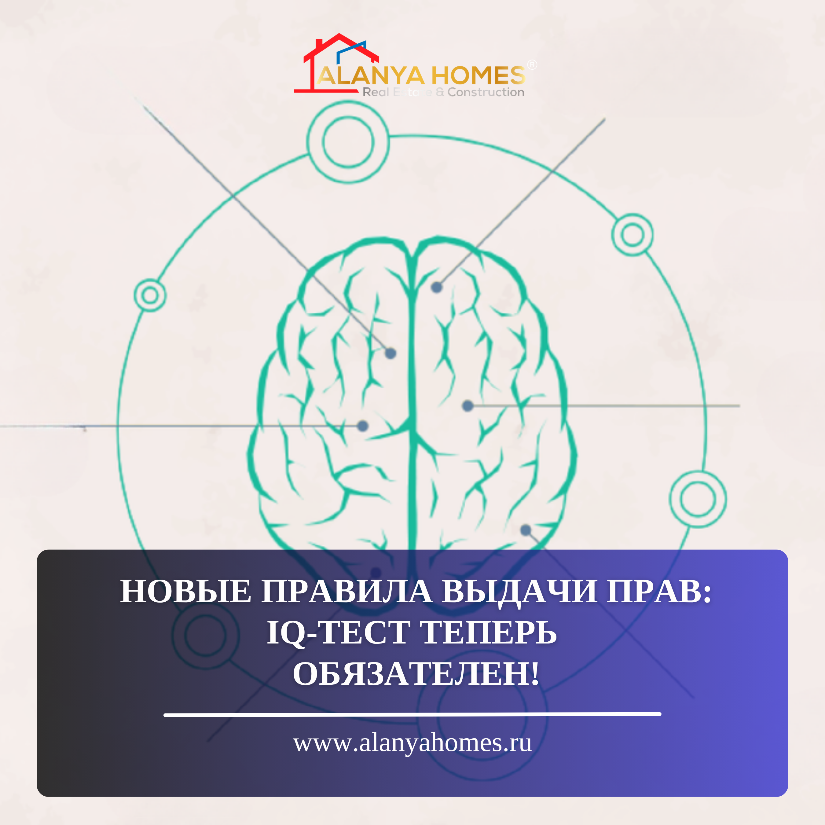 Новые правила выдачи прав: IQ-тест теперь обязателен!