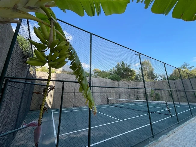 Prosperity Residence